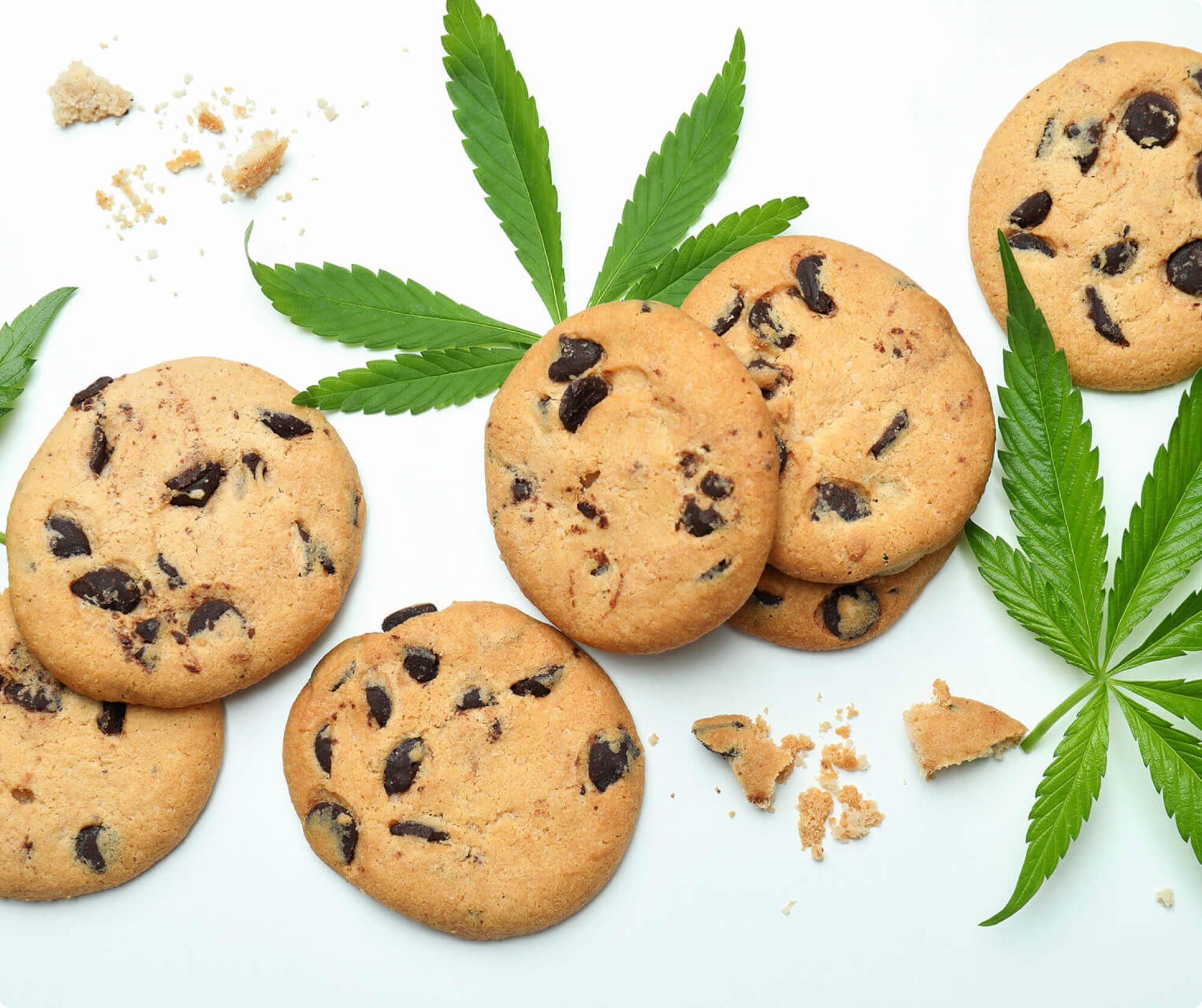 Source photograph: Potluck Chocolates