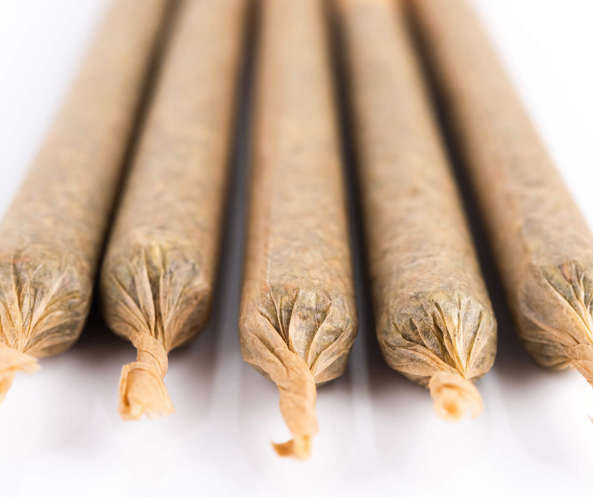 Source photograph: Pre-rolled Joint