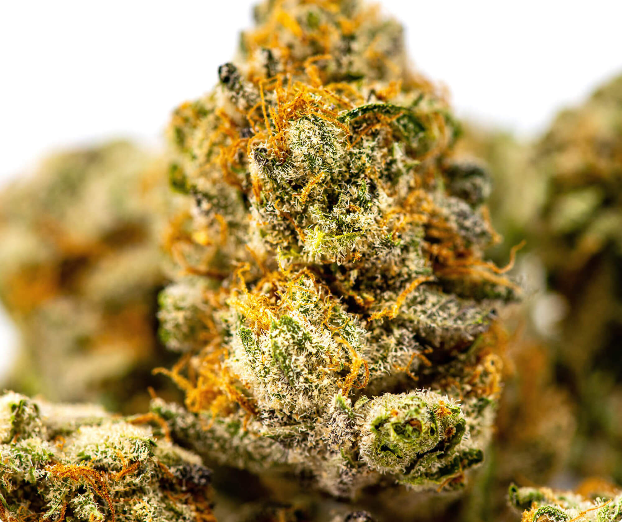 Source photograph: Chem Dawg