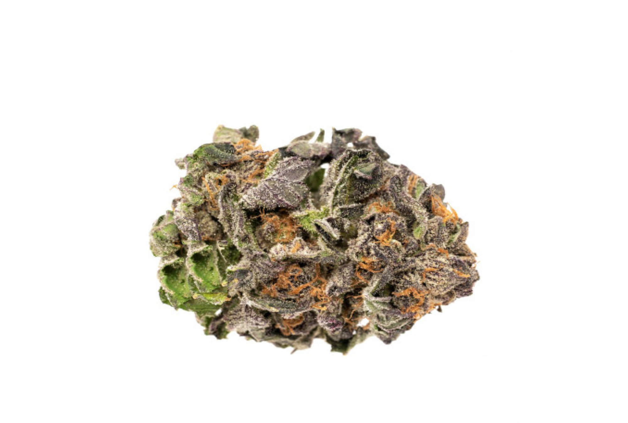 Source photograph: Sativa Bud