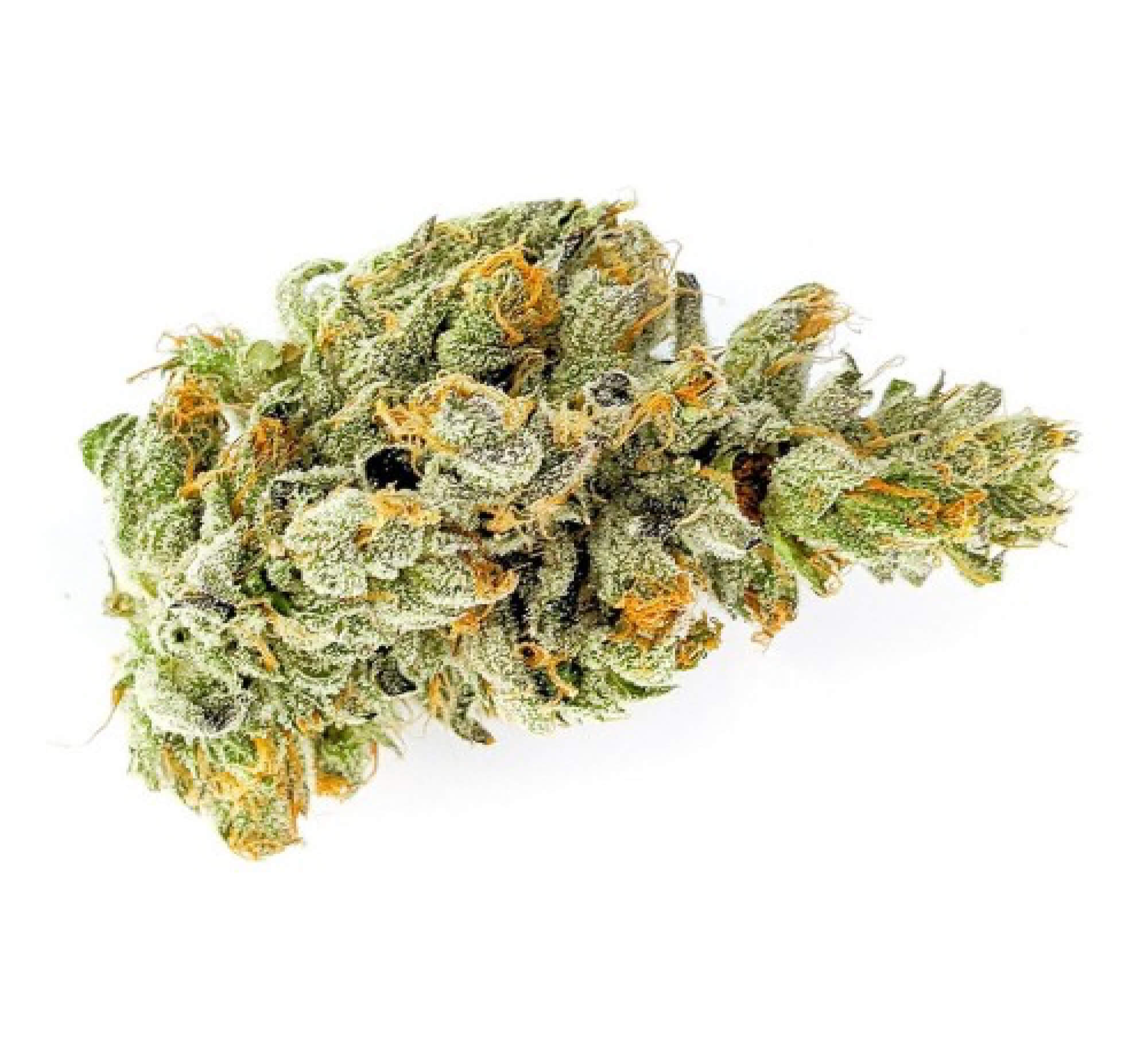 Source photograph: Sativa Bud